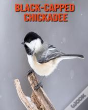 Black-Capped Chickadee
