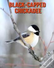 Black-Capped Chickadee