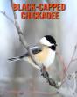 Black-Capped Chickadee - Preview