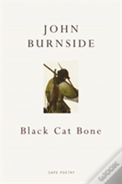 Capa do artigo Black Cat Bone