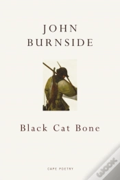 Capa do artigo Black Cat Bone
