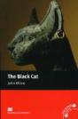 Black Cat - Preview