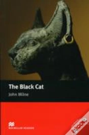 Capa do artigo Black Cat