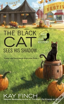 Capa do artigo Black Cat Sees His Shadow