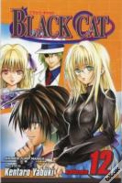 Capa do artigo Black Cat, Vol. 12