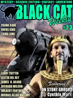 Capa do artigo Black Cat Weekly #23