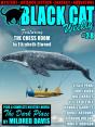 Black Cat Weekly #28 - Preview