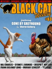 Capa do artigo Black Cat Weekly #63