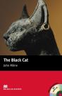 Black Catelementary - Preview