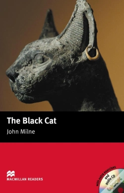 Capa do artigo Black Catelementary
