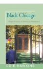 Black Chicago - Preview
