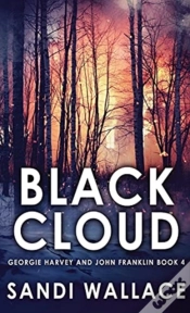 Capa do artigo Black Cloud