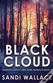 Capa do artigo Black Cloud