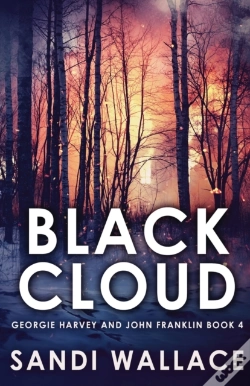 Capa do artigo Black Cloud
