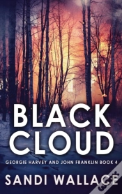 Capa do artigo Black Cloud