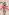Black Clover 02 (Ne)