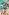 Black Clover 07 (Ne)