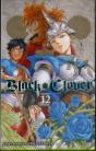 Black Clover, Vol. 12 - Preview