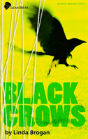 Black Crows - Preview