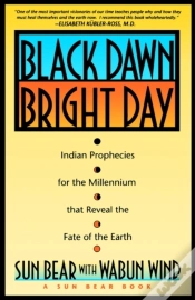 Capa do artigo Black Dawn, Bright Day.