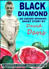 Capa do artigo Black Diamond