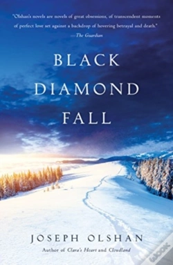 Capa do artigo Black Diamond Fall