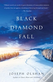 Capa do artigo Black Diamond Fall