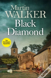 Capa do artigo Black Diamond