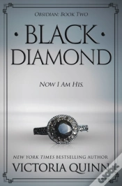 Capa do artigo Black Diamond