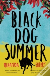 Black Dog Summer