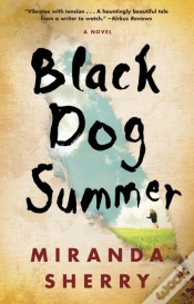 Capa do artigo Black Dog Summer