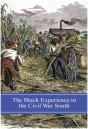Black Experience In The Civil War South - Preview