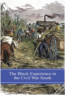 Capa do artigo Black Experience In The Civil War South