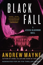 Capa do artigo Black Fall