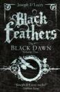 Black Feathers - Preview