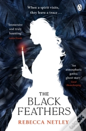 Capa do artigo Black Feathers