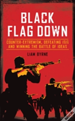 Capa do artigo Black Flag Down