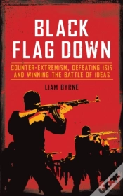 Capa do artigo Black Flag Down