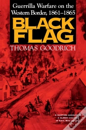 Capa do artigo Black Flag