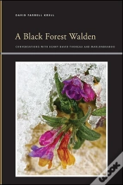 Capa do artigo Black Forest Walden
