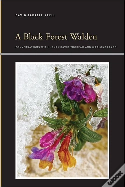 Capa do artigo Black Forest Walden