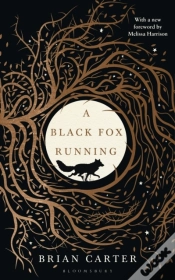 Capa do artigo Black Fox Running