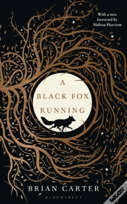 Capa do artigo Black Fox Running