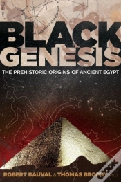 Capa do artigo Black Genesis
