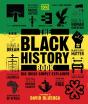Black History Book - Preview