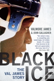 Capa do artigo Black Ice