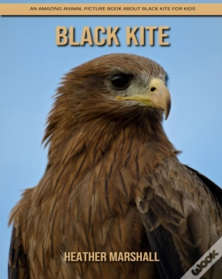 Capa do artigo Black Kite