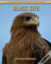 Black Kite