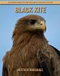 Black Kite - Preview