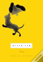 Capa do artigo Black Lab